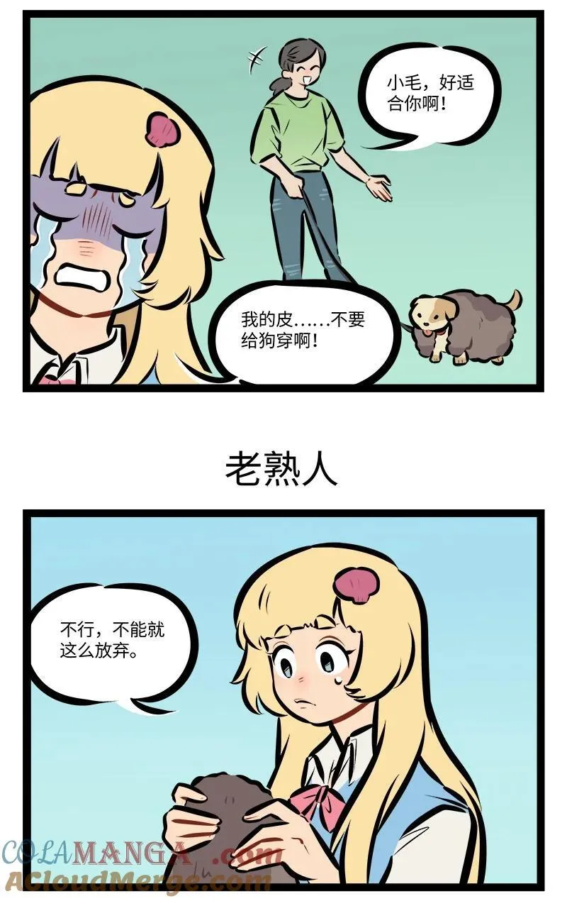 第853话 碰运气2
