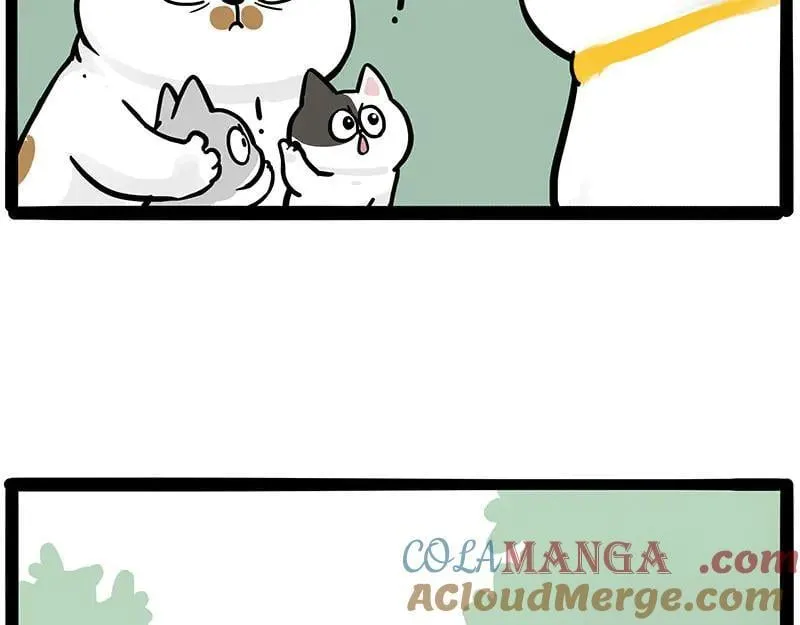 第445话 你就是傲霸？39