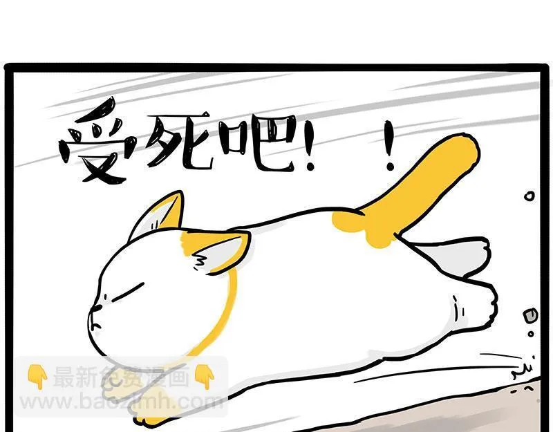 第446话 真相11