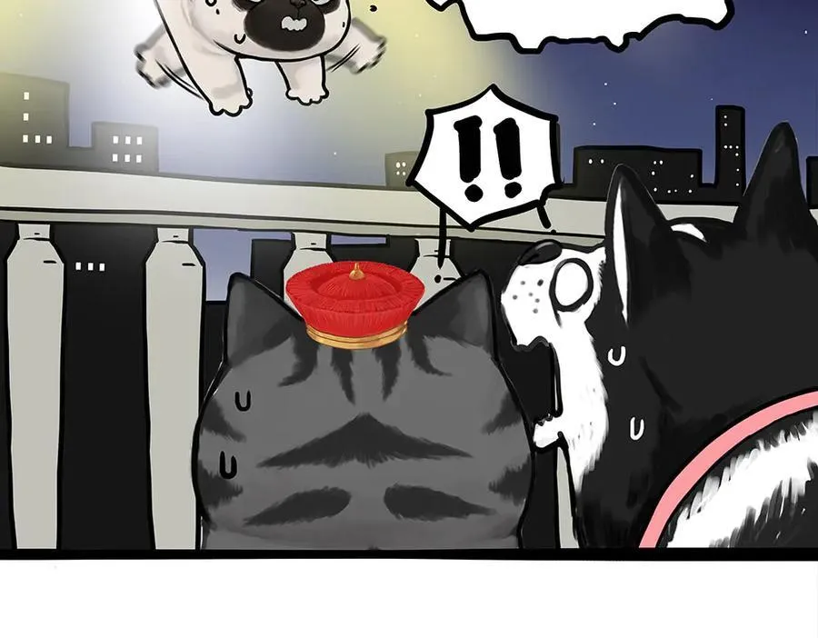 第444话 定！1