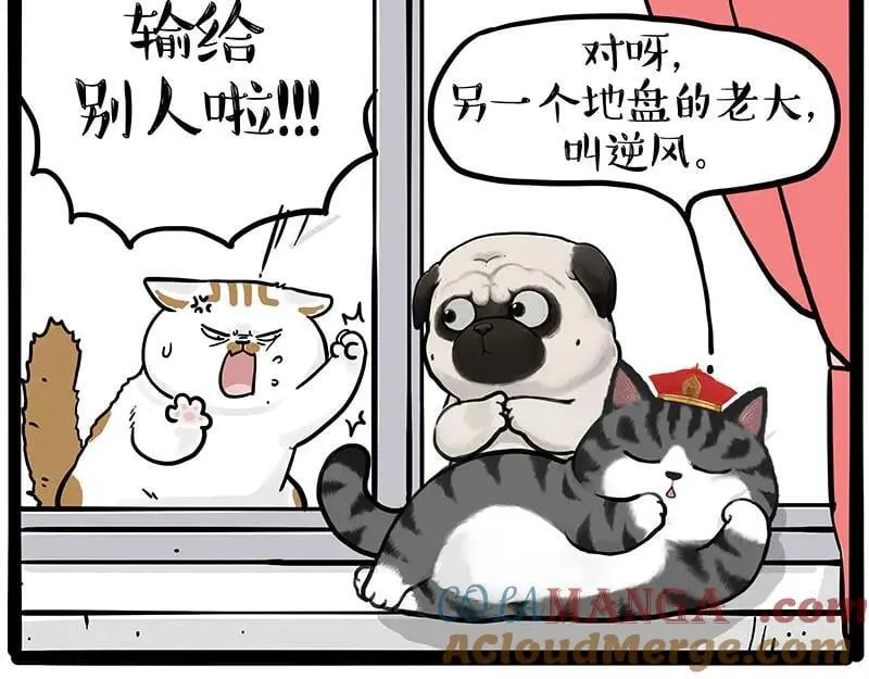 第445话 你就是傲霸？9