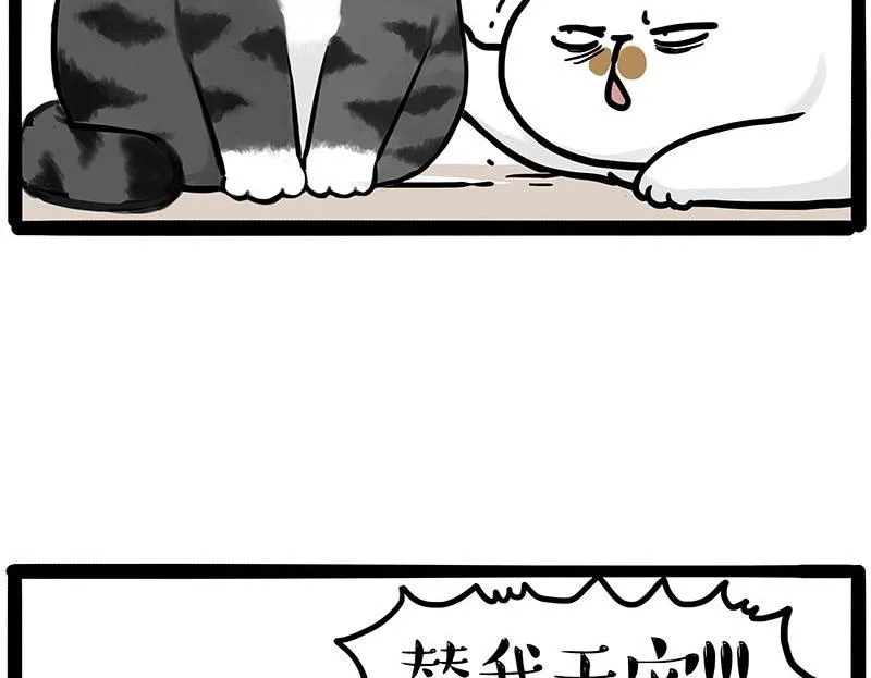 第446话 真相49