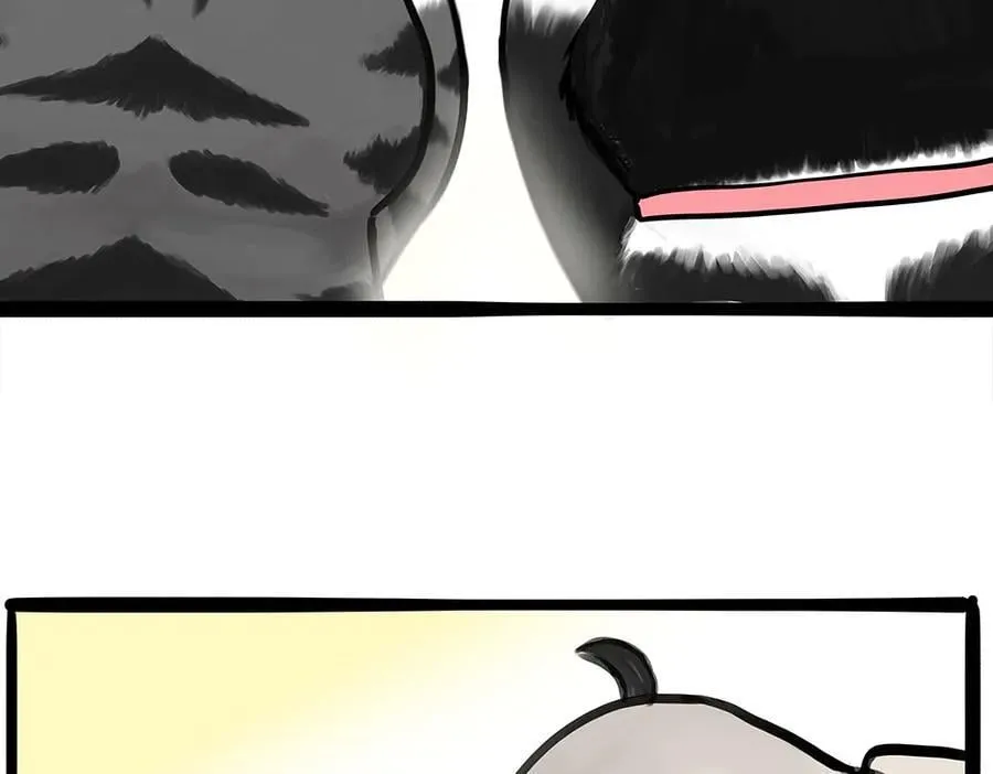 第444话 定！5