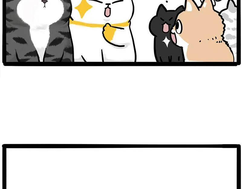 第446话 真相65