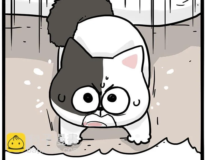 第446话 真相16