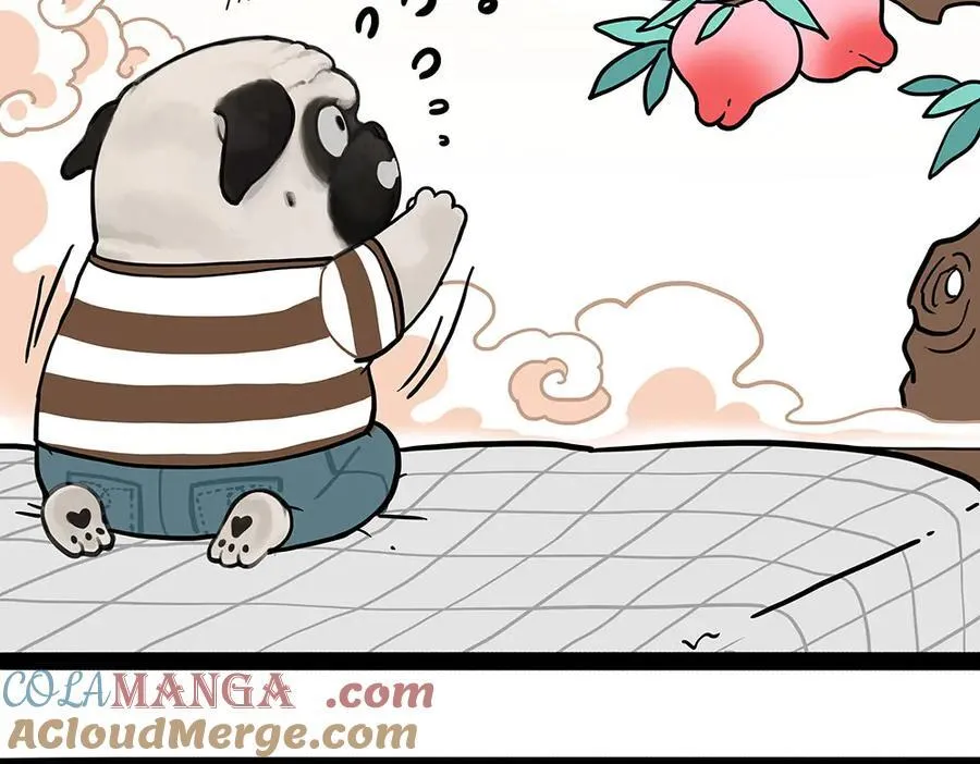 第444话 定！34