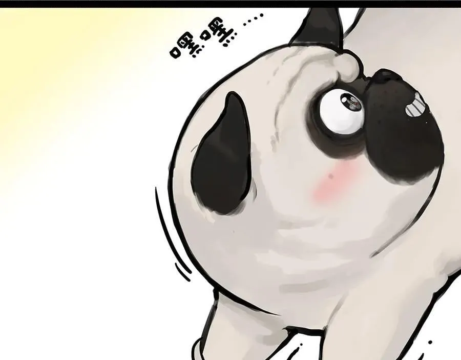 第444话 定！9