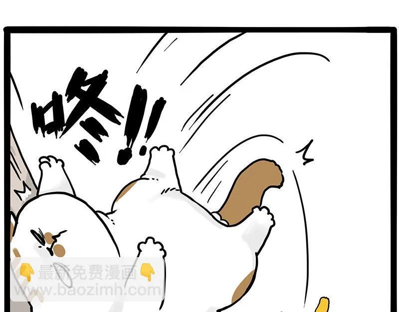 第446话 真相5