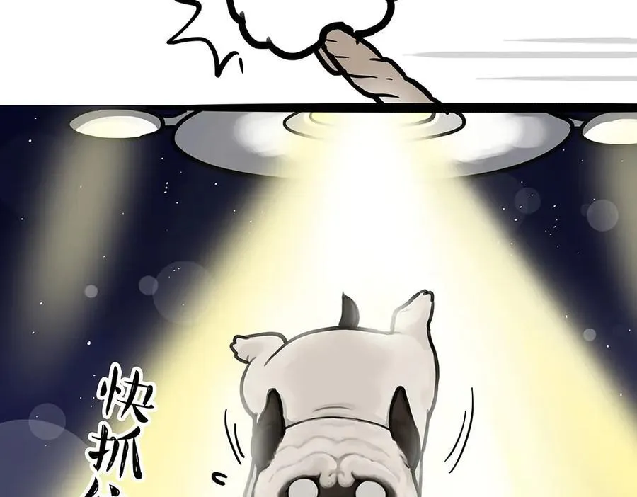 第444话 定！3