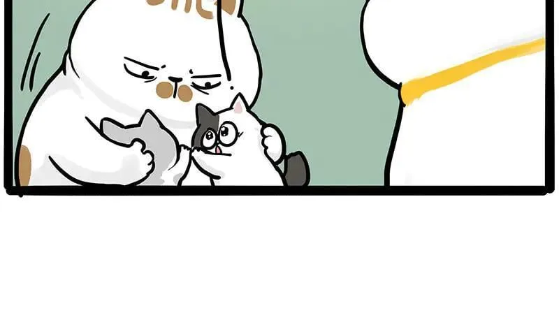 第445话 你就是傲霸？37