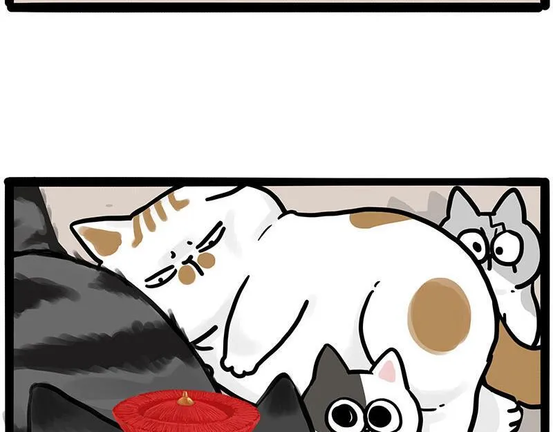 第446话 真相28