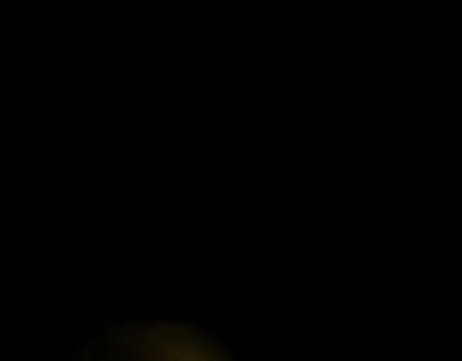 第107话 夜探书房！101