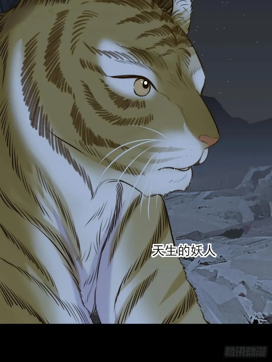 虎与爆篇137