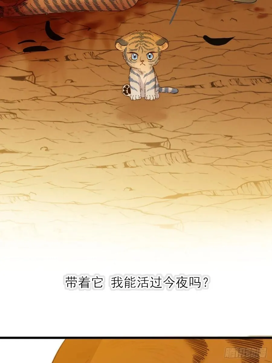 虎与爆篇123