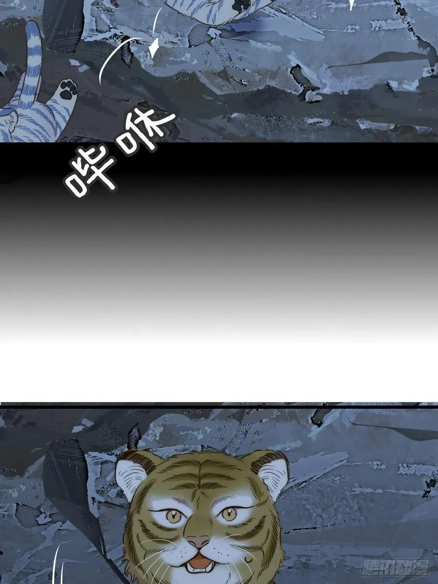 虎与爆篇134