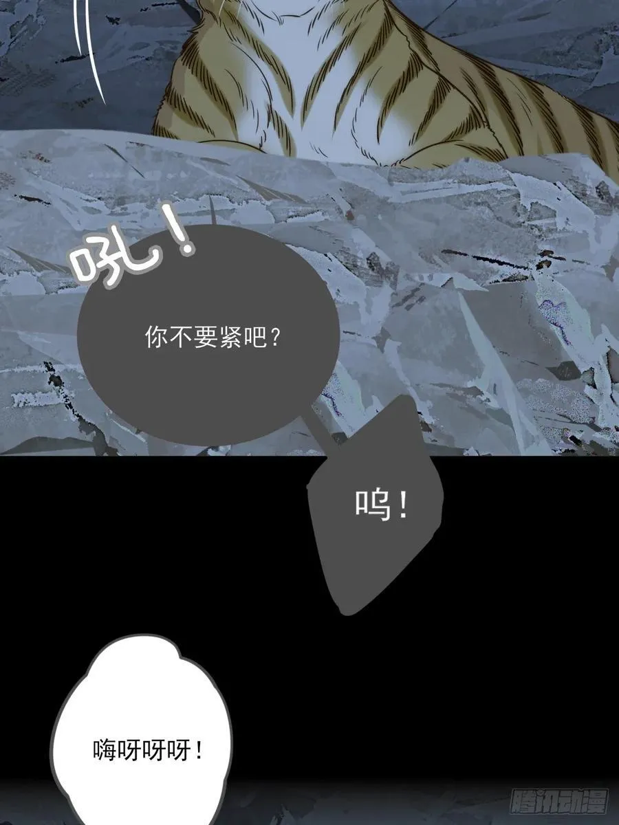 虎与爆篇135