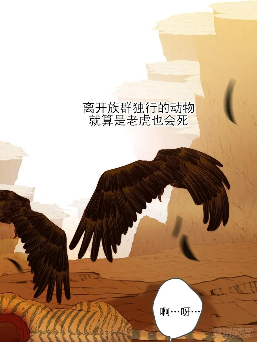 虎与爆篇122