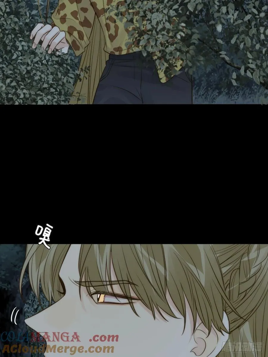 夜幕烟火39