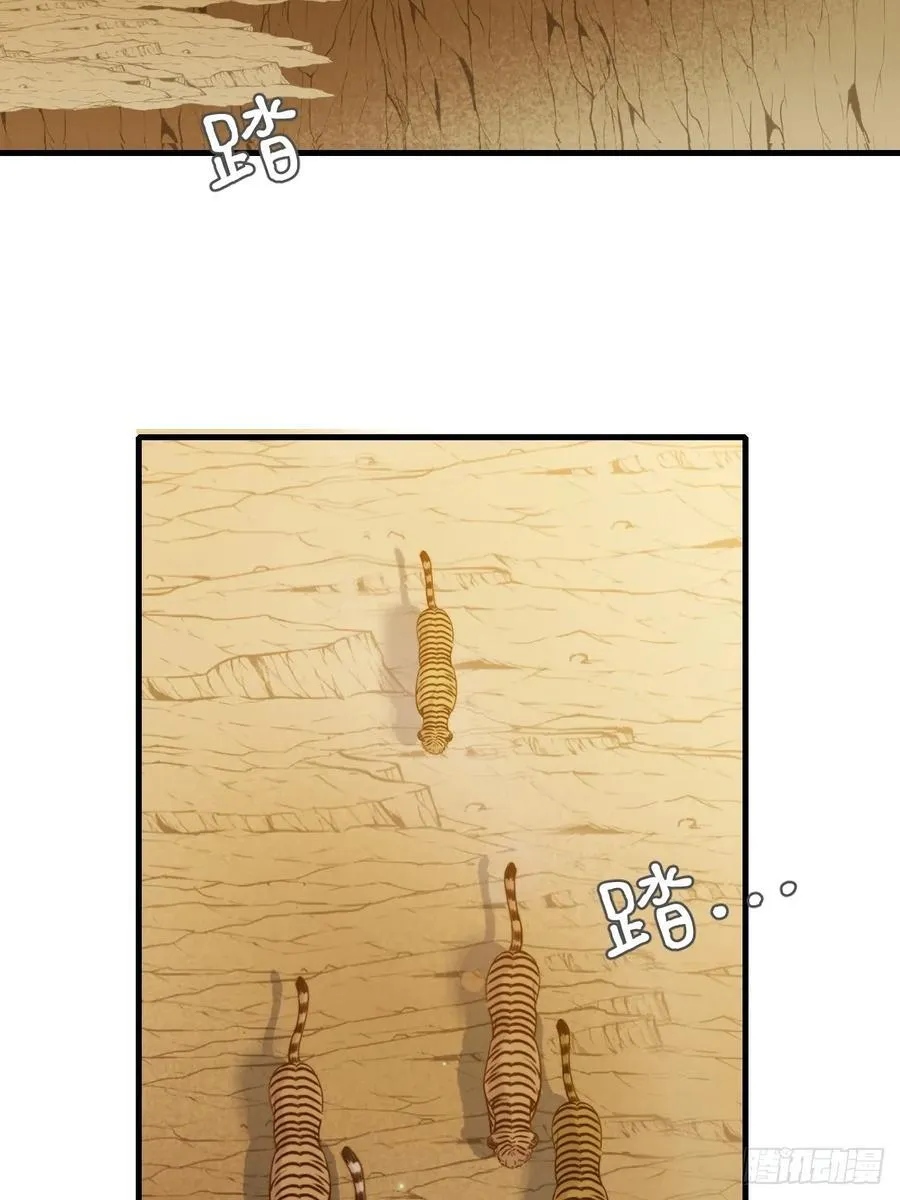 虎与爆篇11