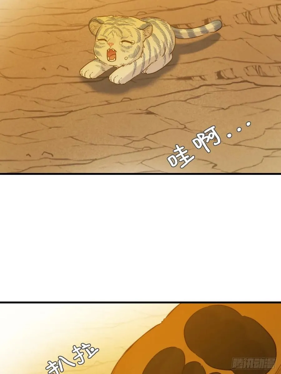 虎与爆篇14