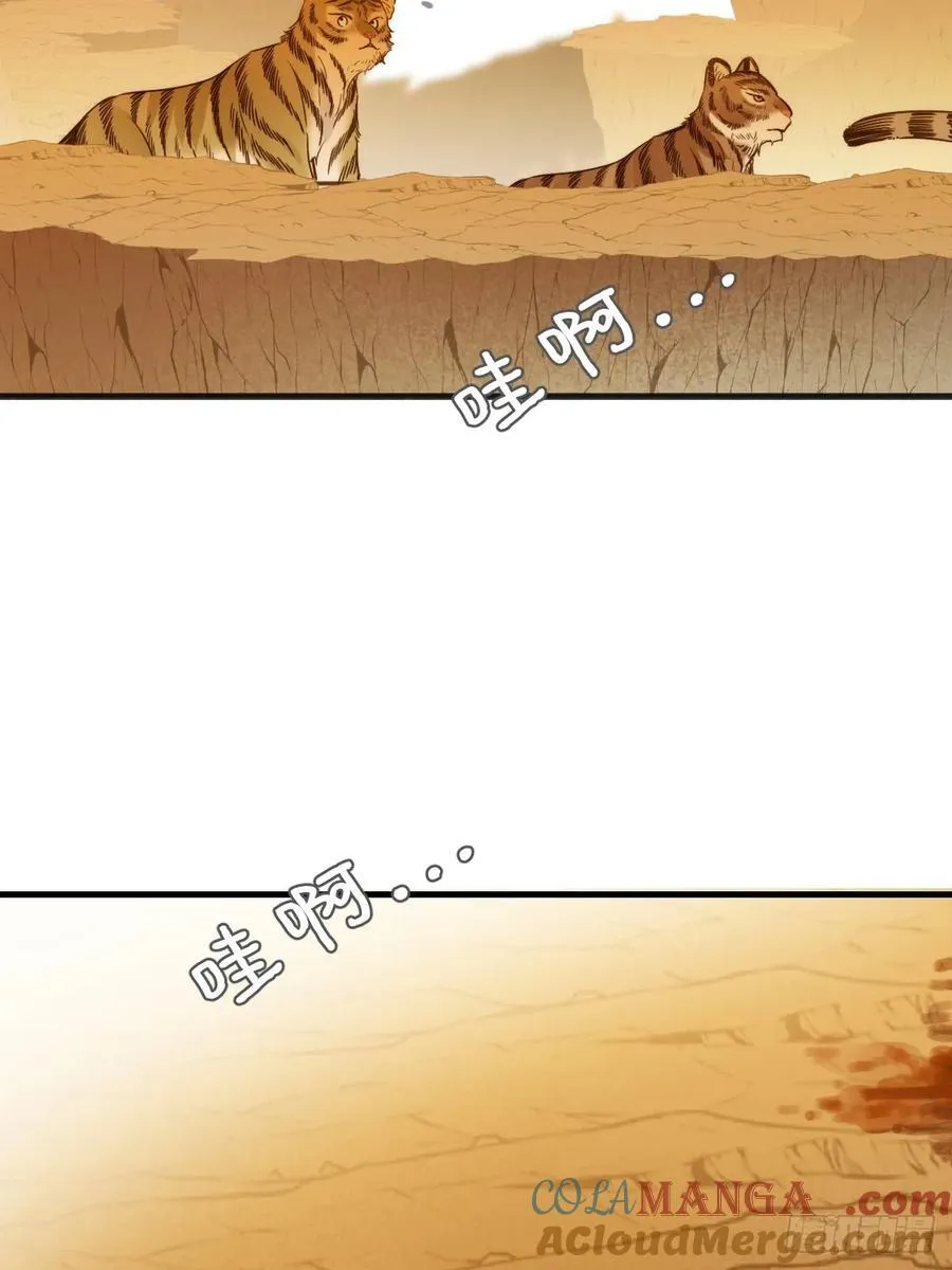 虎与爆篇13