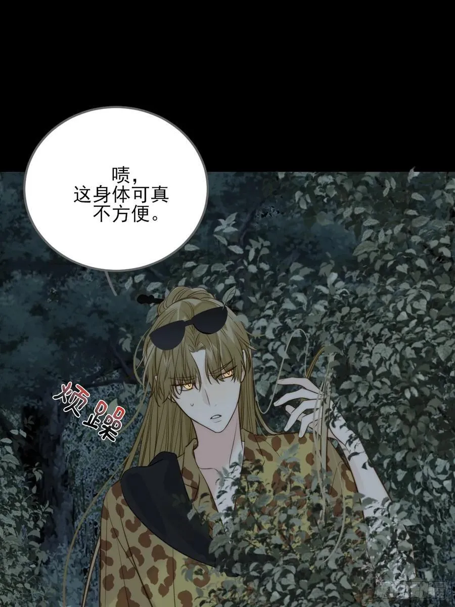 夜幕烟火38