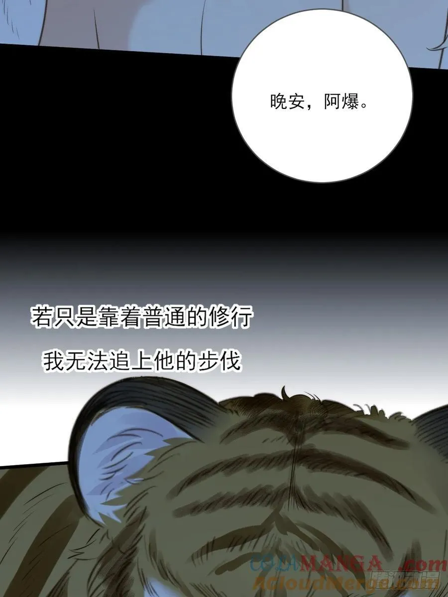 虎与爆篇148