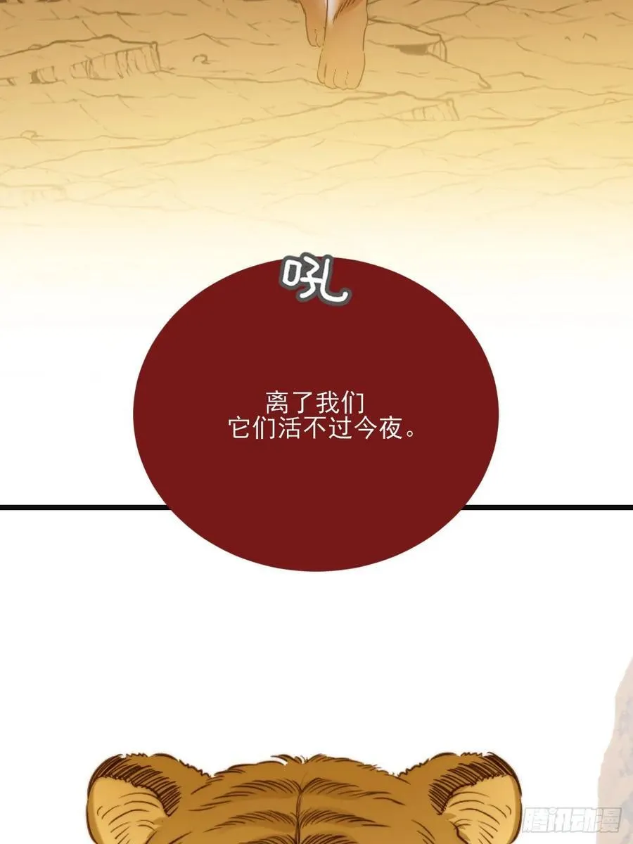 虎与爆篇128