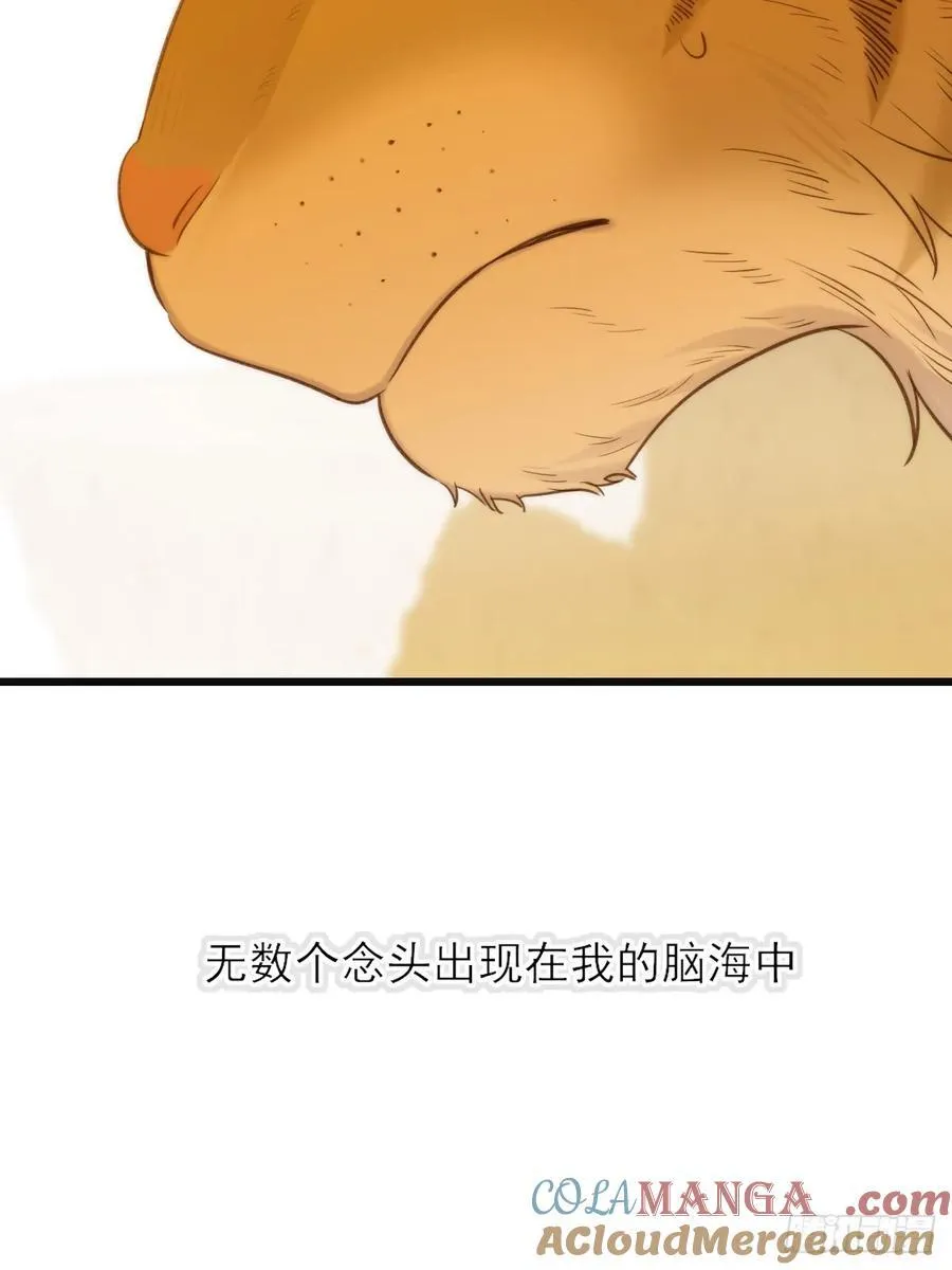 虎与爆篇124