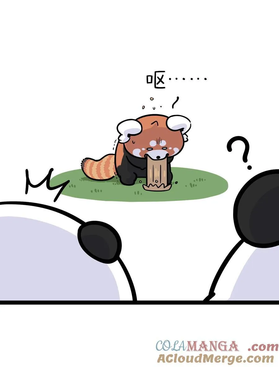 447 你知道一年之中哪几天最不适合去看熊猫么？2