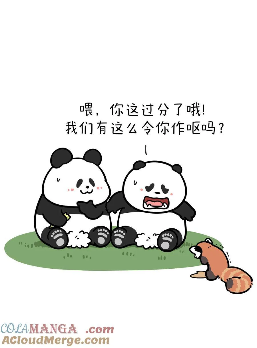 447 你知道一年之中哪几天最不适合去看熊猫么？3