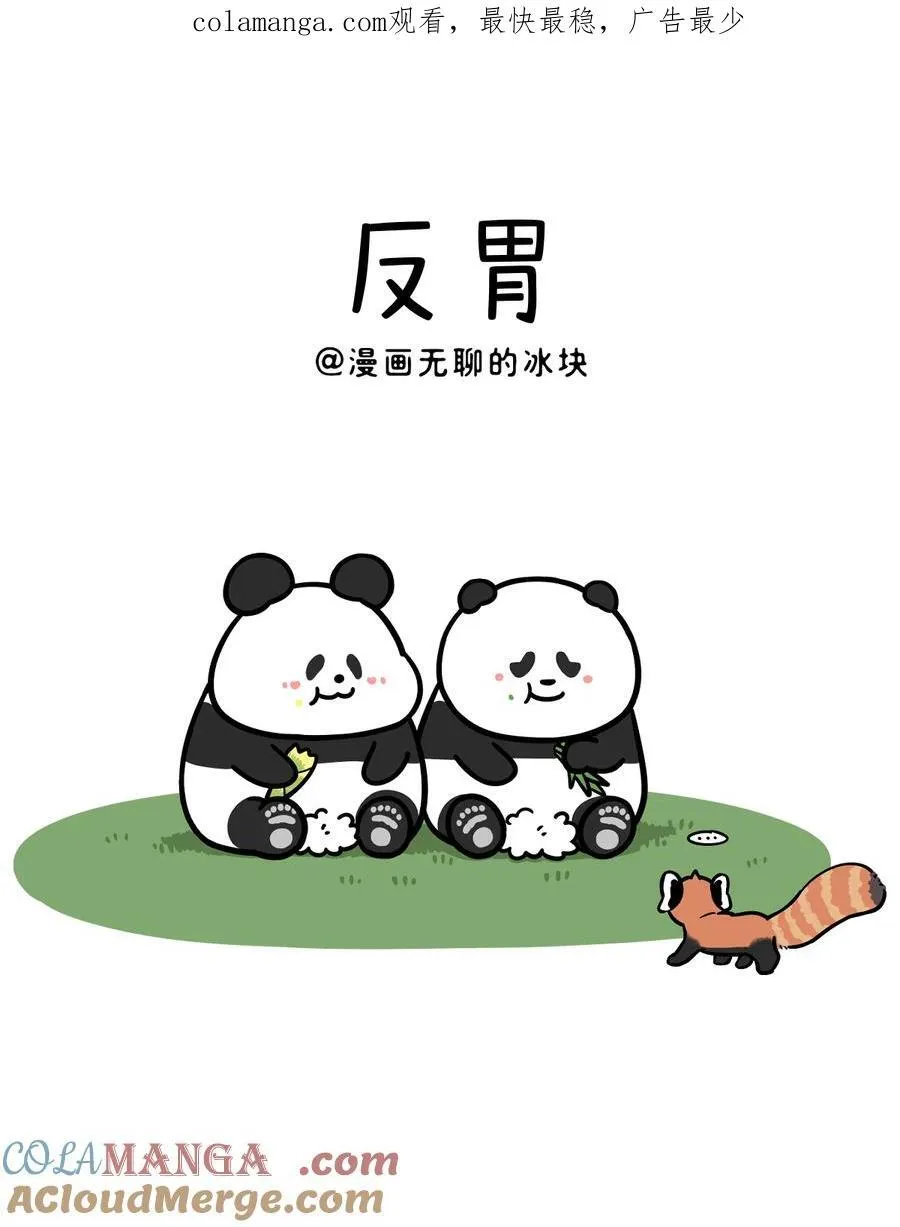 447 你知道一年之中哪几天最不适合去看熊猫么？0