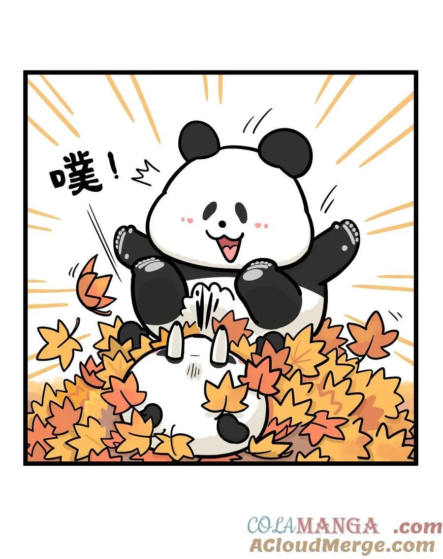 460 一叶可知秋，多叶会障目~9