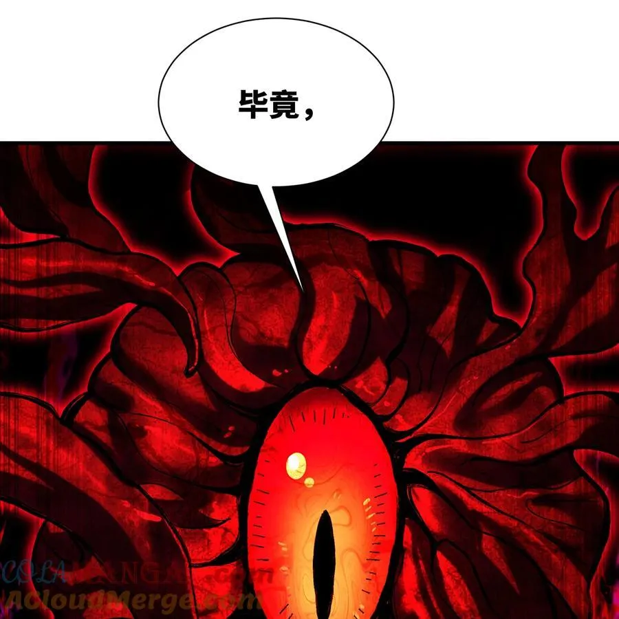 249回 辛洛斯40