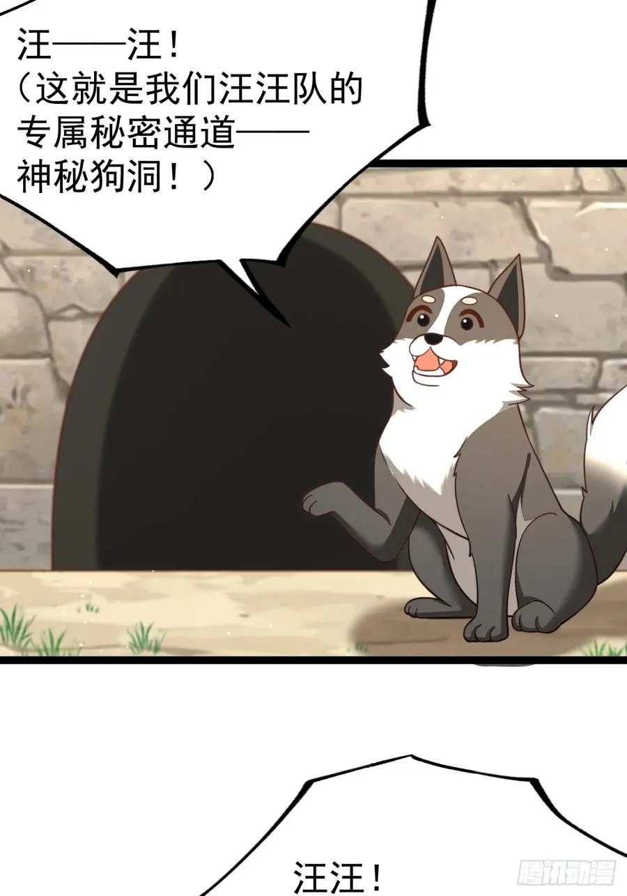 汪汪汪14