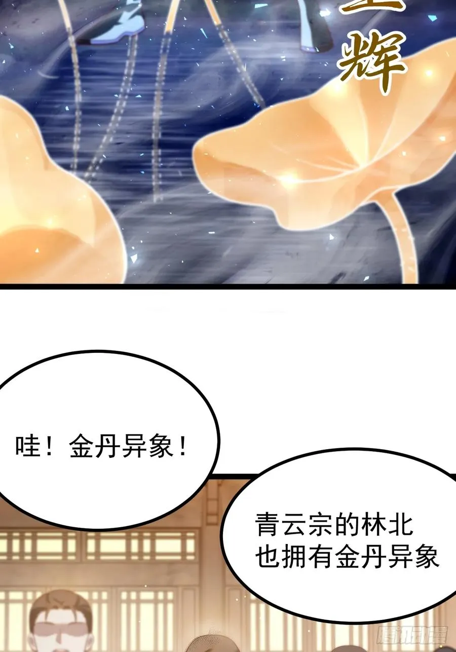 青莲摇曳映星辉29