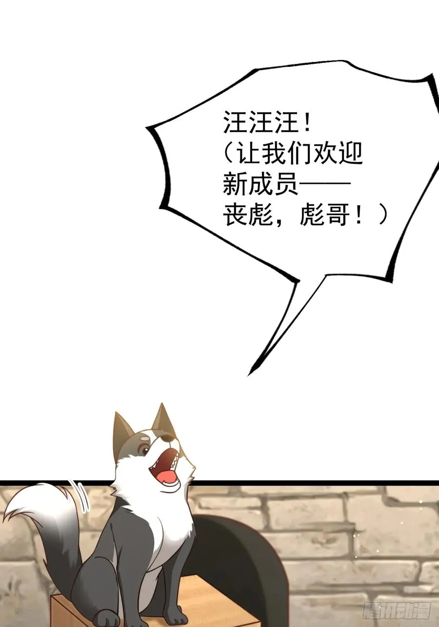 汪汪汪11