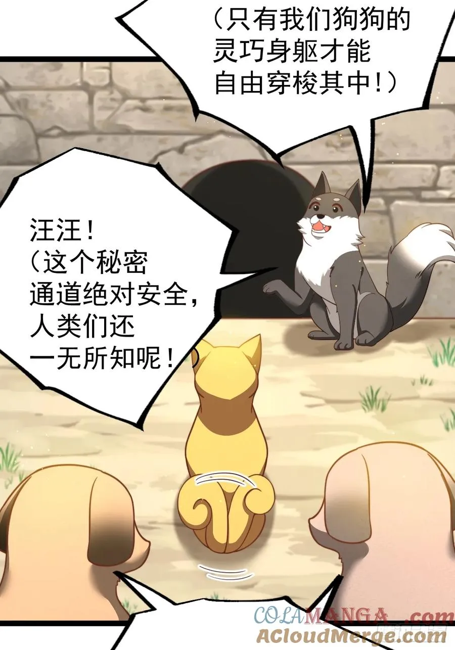 汪汪汪15