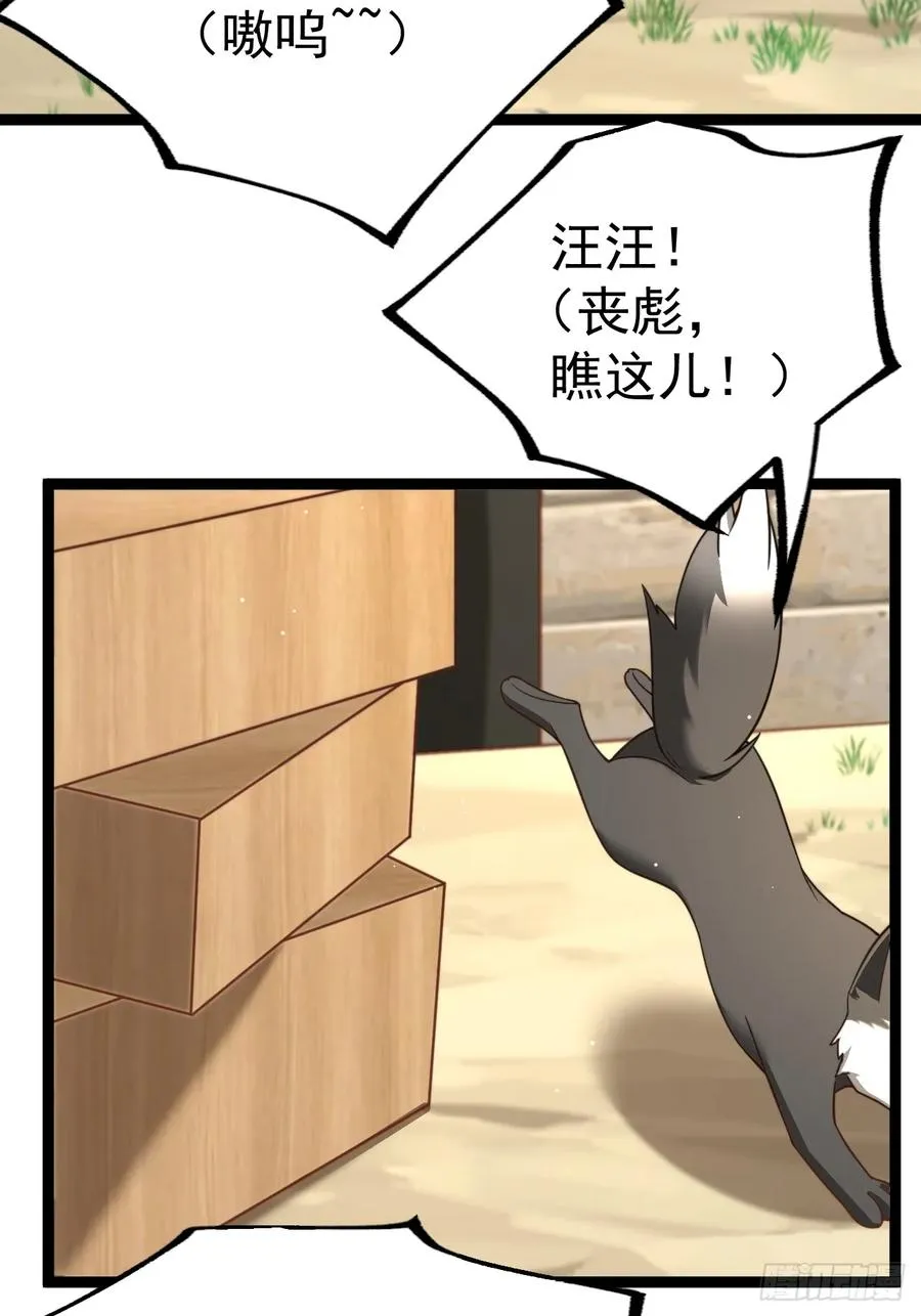 汪汪汪13