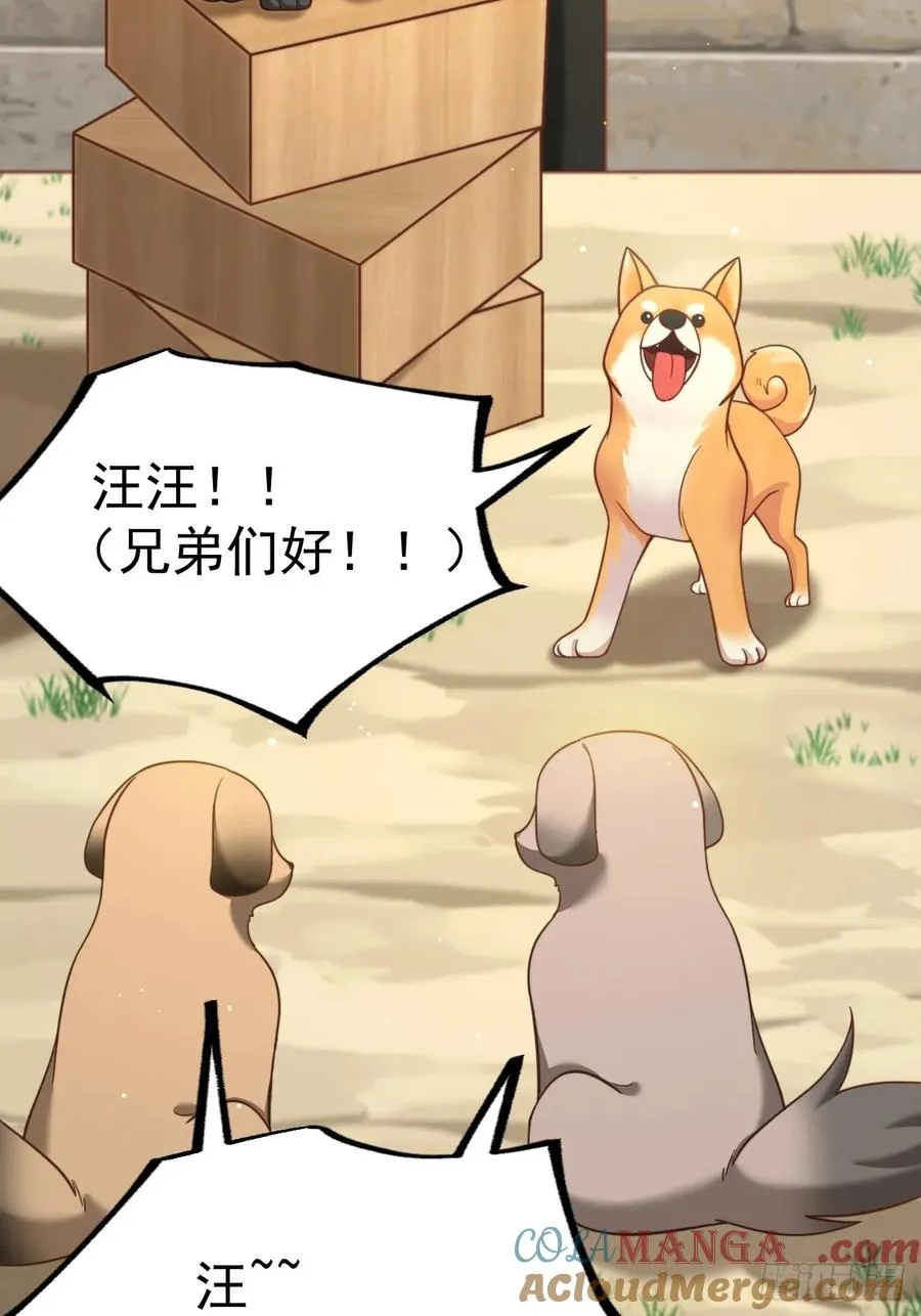 汪汪汪12