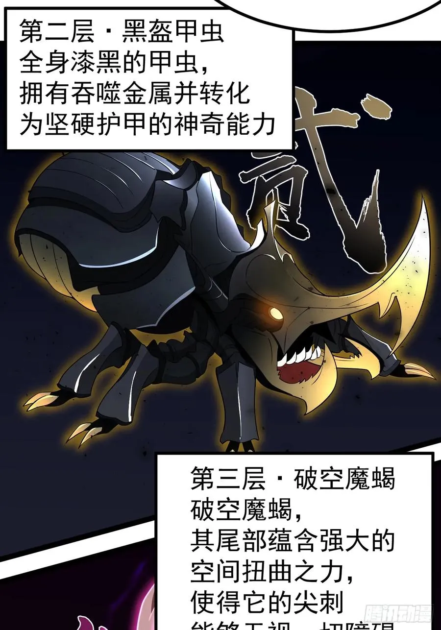 小五打四个49