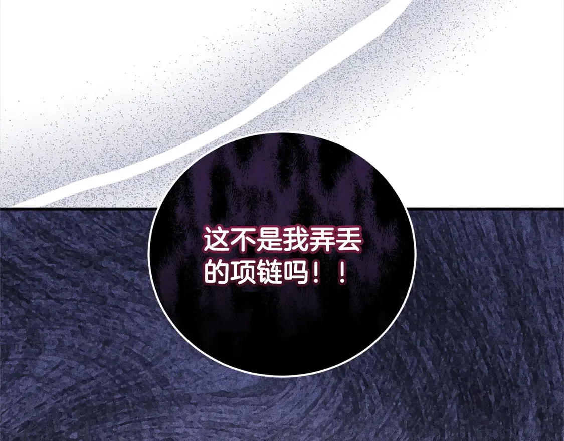 第12话 我没偷项链121