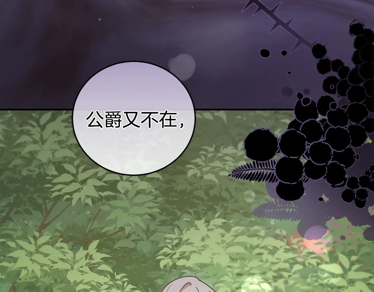 第48话 生日宴会212