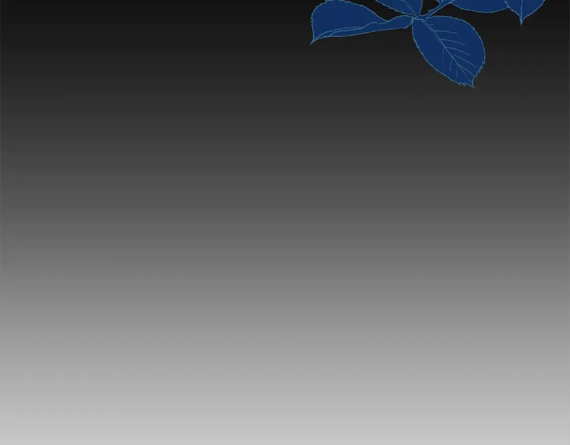 第12话 我没偷项链40
