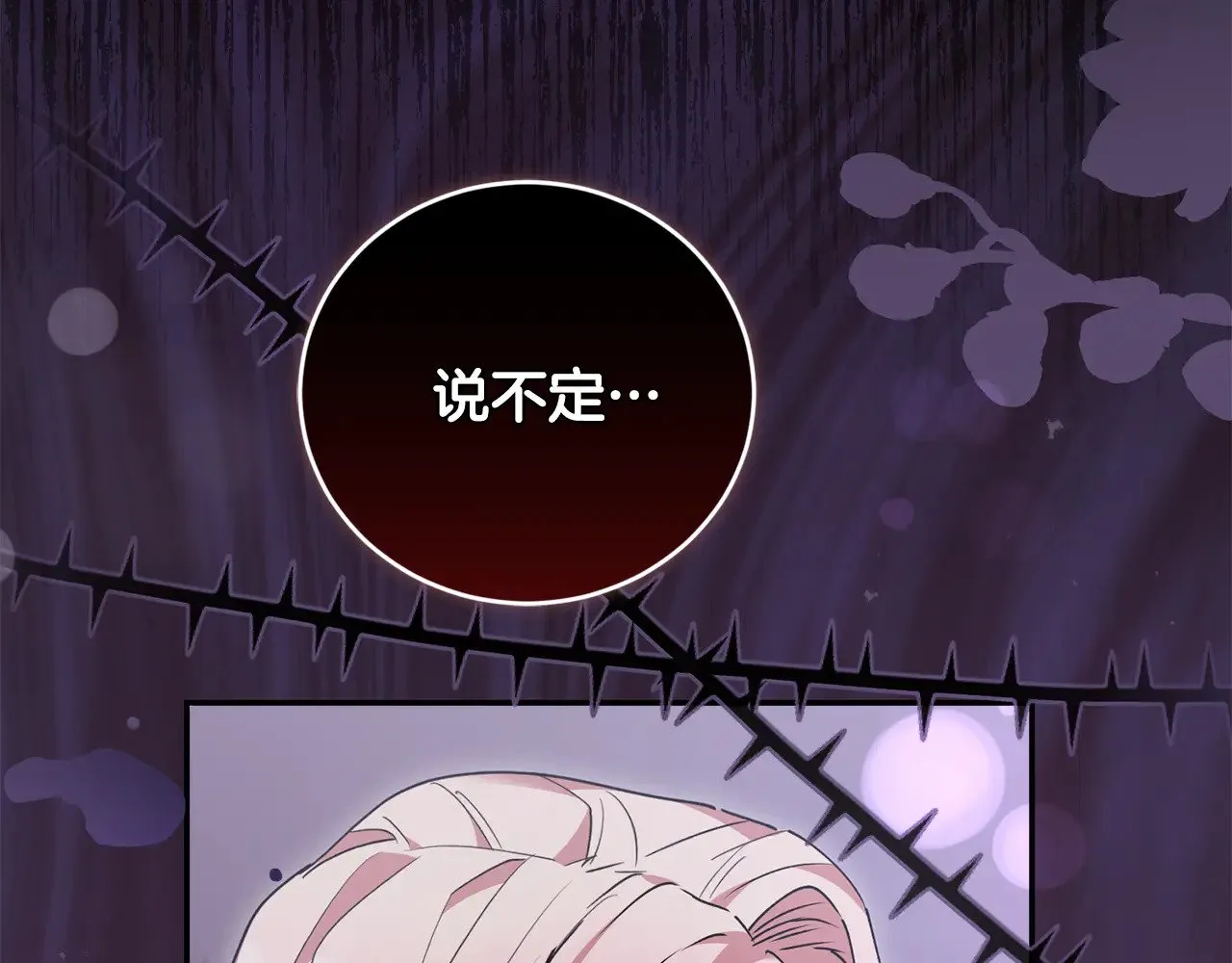 第48话 生日宴会216