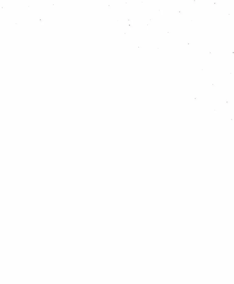 75.儿媳？114