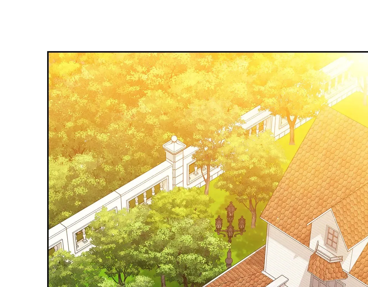 第82话 幸福的笑容230
