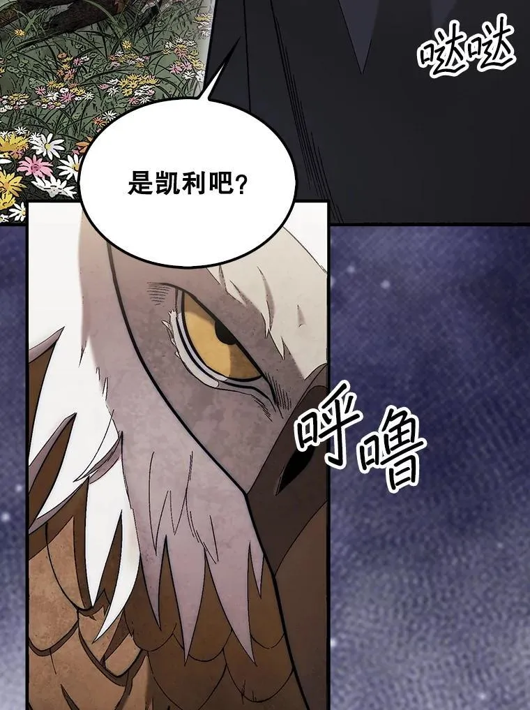 55.让凯利安息40