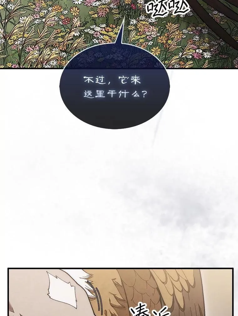 55.让凯利安息27
