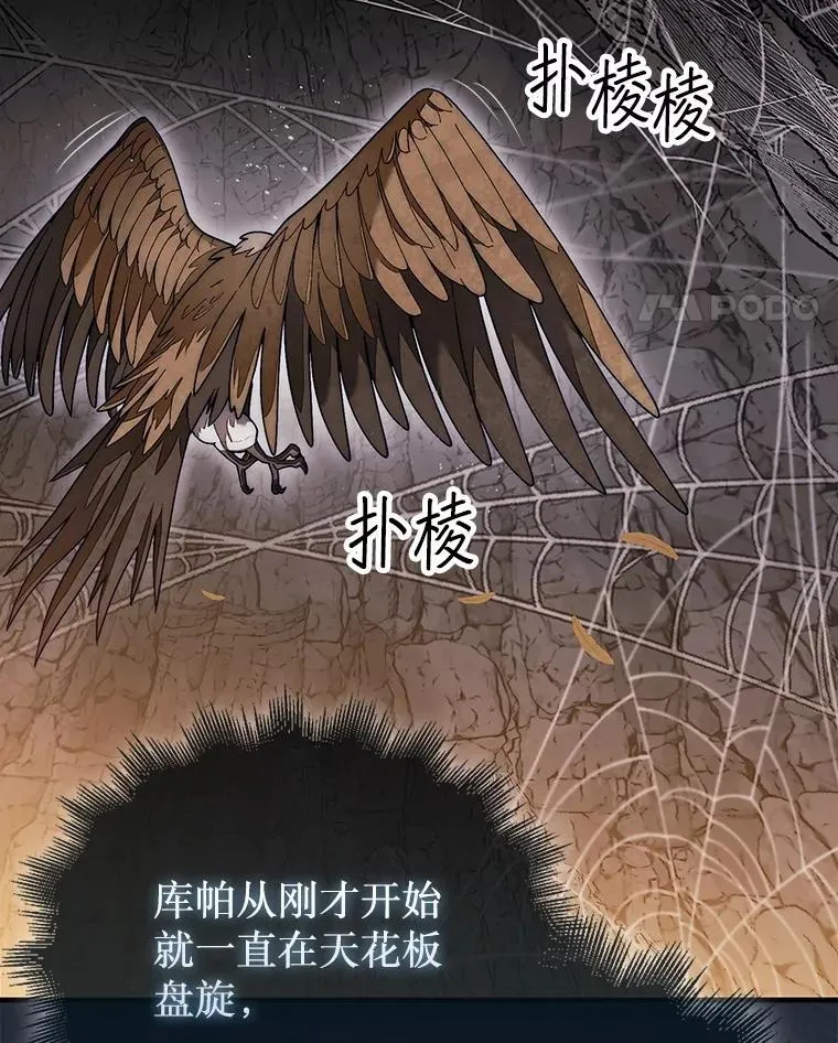 54.库帕相助127